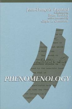 Hardcover Phenomenology Book