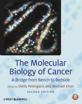 Paperback Molecular Biology of Cancer 2e Book