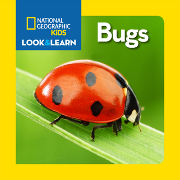 Board book National Geographic Kids Look and Learn: Bugs Book