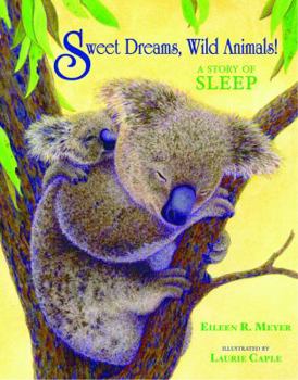 Hardcover Sweet Dreams, Wild Animals!: A Story of Sleep Book