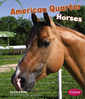 Hardcover American Quarter Horses Book