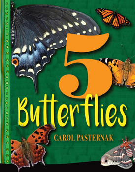 Hardcover 5 Butterflies: Volume 4 Book