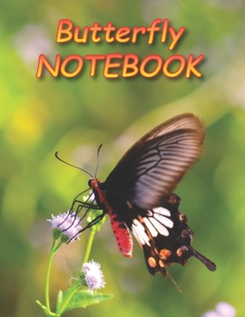 Butterfly NOTEBOOK: Notebooks and Journals 110 pages (8.5"x11")