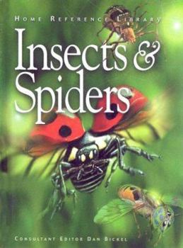 Hardcover Insects & Spiders Book