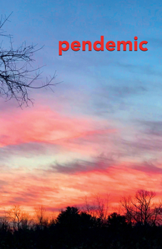 Paperback Pendemic: A Literary Magazine Book