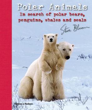 Hardcover Polar Animals: In Search of Polar Bears, Penguins, Whales and Seals Book