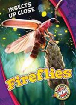 Fireflies - Book  of the Insects Up Close