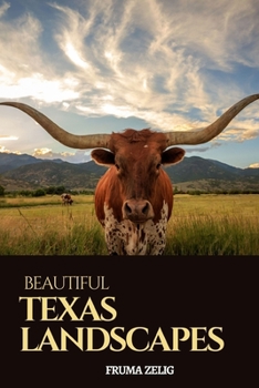 Beautiful Texas Landscapes: An Adult Picture Book and Nature City Travel Photography Images with NO Text or Words for Seniors, The Elderly, Dementia ... For Easy Relaxation, Tranquility And Peace