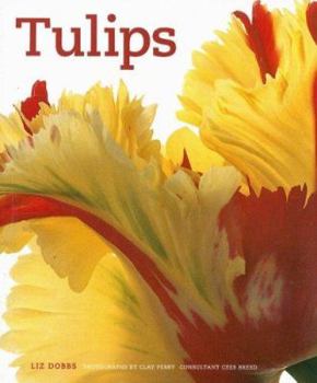 Paperback Tulips Book