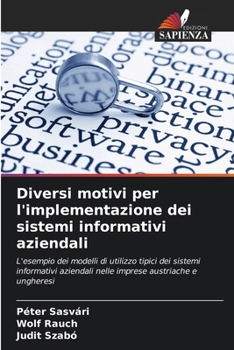 Diversi motivi per l'implementazione dei sistemi informativi aziendali (Italian Edition)