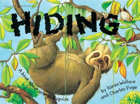 Paperback Hiding (Wonderwise) Book