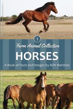 Paperback Horses Book