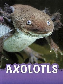 Paperback Axolotls (Animals) Book