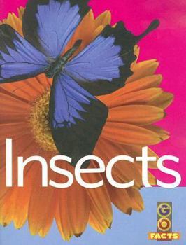 Paperback Insects Book