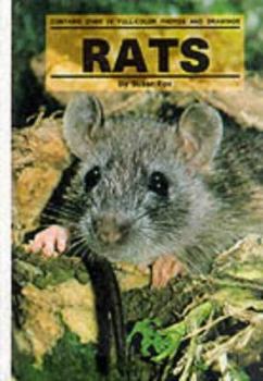 Hardcover Rats Book