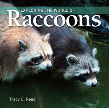 Paperback Exploring the World of Raccoons Book