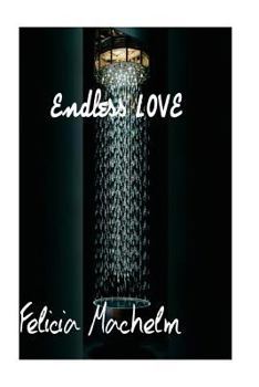 endless love: love novel
