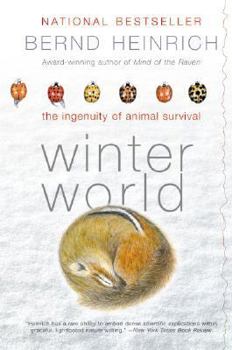 Paperback Winter World Book