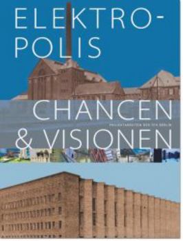 Paperback Elektropolis: Chances and Visions Book