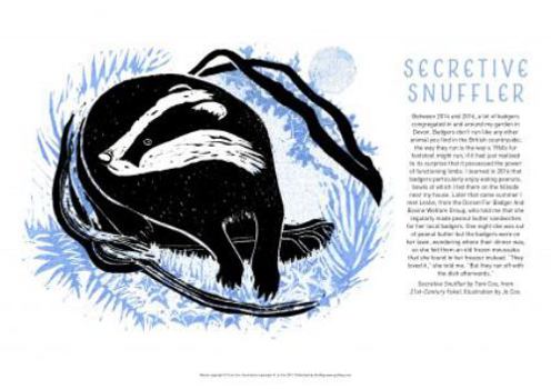 Tom Cox's 21st Century Yokel Poster: Secretive Snuffler (Tom Cox's Country Yokel Posters)