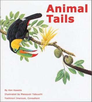 Hardcover Animal Tails (Yabuuchi, Masayuki,) Book