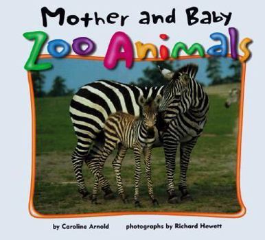 Hardcover Mother and Baby Zoo Animals Book