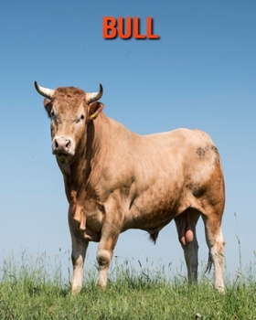 Bull: Amazing Facts & Pictures