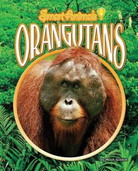 Orangutans - Book  of the Smart Animals