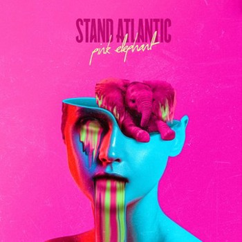 Vinyl Pink Elephant Book