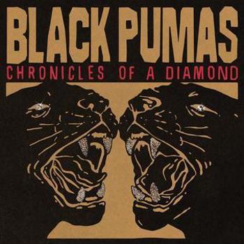 Vinyl Chronicles Of A Diamond Book