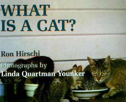 Paperback What Is a Cat? Book