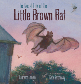 Hardcover The Secret Life of the Little Brown Bat Book