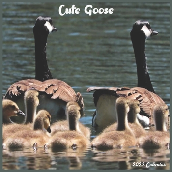 Cute Goose 2022 Calendar: Official waterfowl Goose Birds Calendar 2022