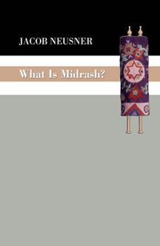 Paperback What Is Midrash? Book