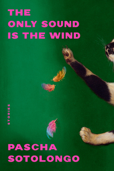Paperback The Only Sound Is the Wind: Stories Book