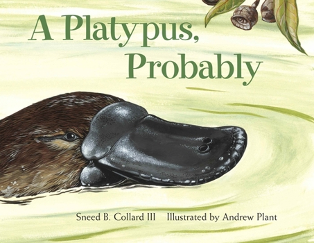 Paperback A Platypus, Probably Book