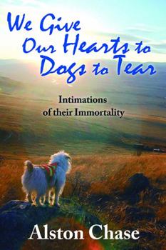 Paperback We Give Our Hearts to Dogs to Tear: Intimations of Their Immortality Book