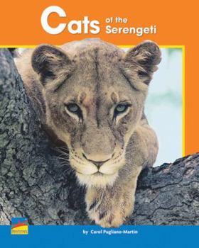 Cats of the Serengeti