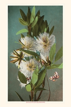 Paperback The Vintage Journal Eucalyptus Blossoms Book