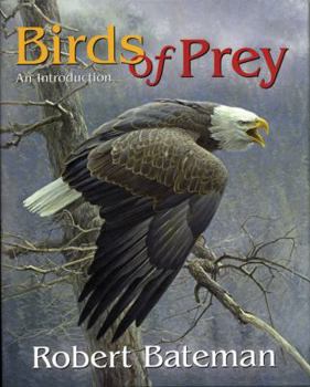 Hardcover Birds of Prey: An Introduction Book