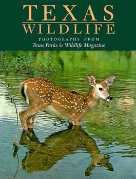 Hardcover Texas Wildlife: Photographs from Texas Parks & Wildlife Magazinevolume 1 Book