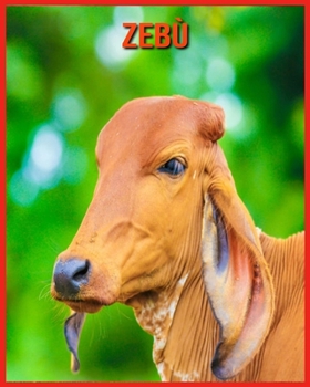 Zeb�: Immagini incredibili e fatti divertenti sui Zeb�