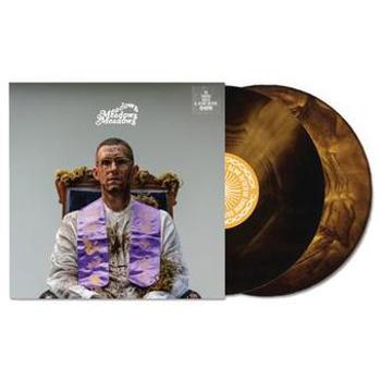 Vinyl In Those Days & Also After Book