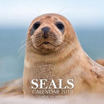 Seals Calendar 2019: 16 Month Calendar