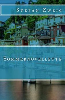 Paperback Sommernovellette [German] Book