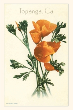 Paperback The Vintage Journal Poppies, Topanga, California Book