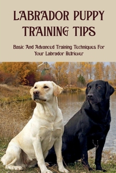 Paperback Labrador Puppy Training Tips: Basic And Advanced Training Techniques For Your Labrador Retriever: How To Train Your Labrador Retriever Book