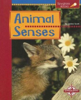 Paperback Animal Senses Book