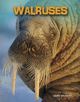 Hardcover Walruses Book
