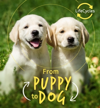Library Binding From Puppy to Dog Book